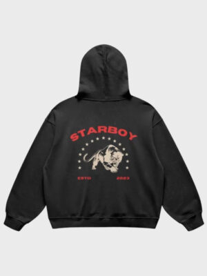 unisex-organic-starboy-logo-oversized-pullover-hoodie-1