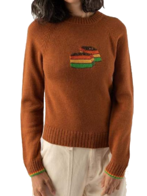 taylor-swift-rainbow-cookie-brown-sweater-1