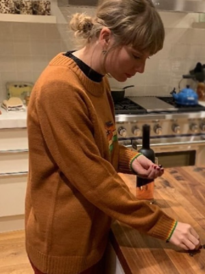 Taylor Swift Rainbow Cookie Brown Sweater